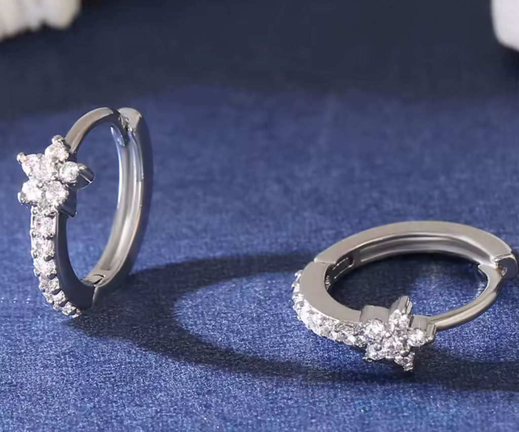 Stainless Steel Zircon Star Hoop Earrings for Women